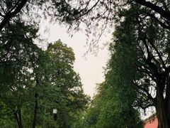 -北京市劳动人民文化宫(太庙)