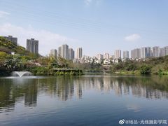 -重庆彩云湖湿地公园