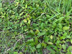 -金堂县云顶石城风景区
