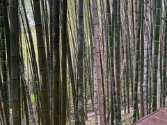 -南京市无想山景区