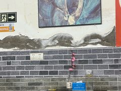 -天治宣·野椒鸡(龙头寺总店)