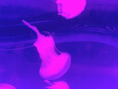 -海珠新都荟城光荟(海珠店)