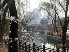 -迎泽公园