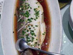 -乾隆美食·本帮菜(黄河路店)