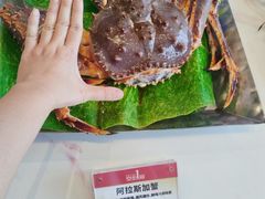 -南海渔村·空中一号