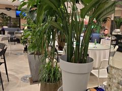 -观塘港茶餐厅(八一大道店)