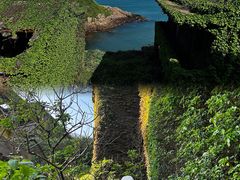 -枸杞岛