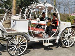 -广东花都香草世界旅游度假区