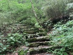 -牛背梁国家森林公园