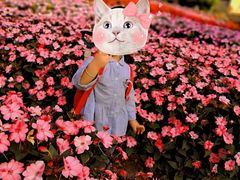 -松山湖梦幻百花洲