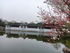 -水绘园