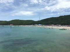 -珊瑚岛