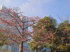 -佛山京华广场MALL