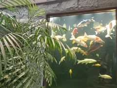 -弘安丽水温泉酒店