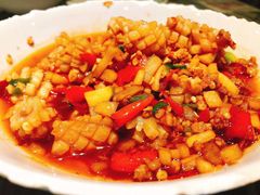 -壹盏灯(惠农店)