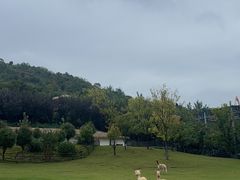 -南京金牛湖风景区