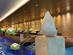 -苏州金鸡湖文博诺富特酒店