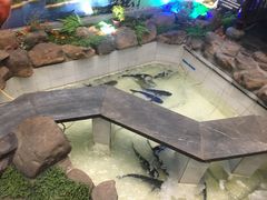 -春盛渔府(牛首山店)
