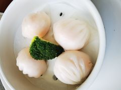 虾饺皇-皓粤·臻品荟