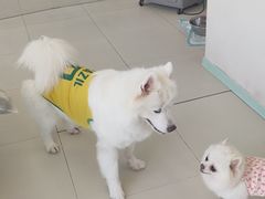 -怪兽屋·羊驼·猫咖·狗咖(俊华广场店)