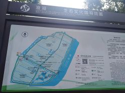 -水八仙生态园