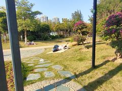 -五缘湾湿地公园