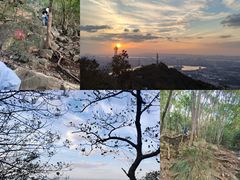 -紫金山山顶公园