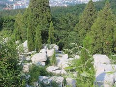 -原山国家森林公园