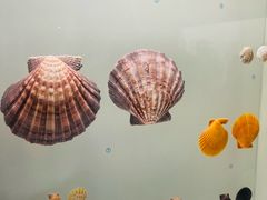 -青岛贝壳博物馆