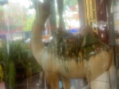 -老雒阳面馆·水席·洛阳菜(偃师店)