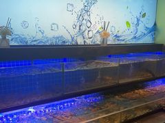 -透明思烤·自助烤肉海鲜火锅(东部星悦天地店)