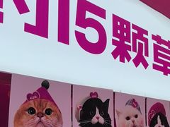 -K22.酸奶草莓(烟台芝罘店)