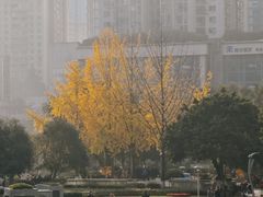 -观音桥步行街