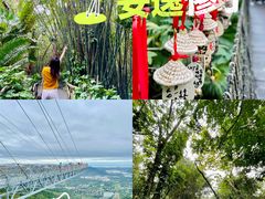 -呀诺达热带雨林