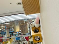 -1013 PET SHOP精品宠物商店(丁香店)