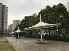 -新江湾城公园