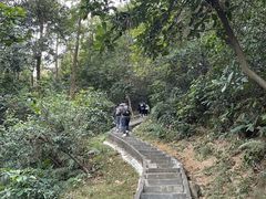 -火炉山森林公园