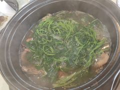 益母草-一煲鸽