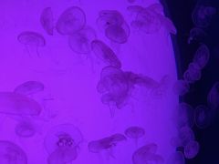 -沈阳海洋探索中心