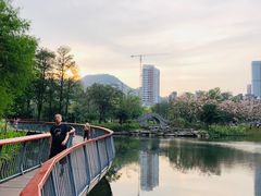-四海公园(南山区)