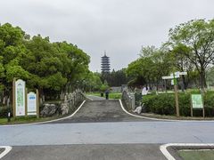 -宜兴龙背山森林公园