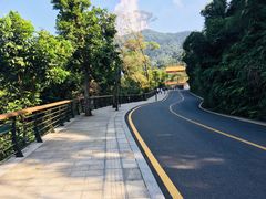 -深圳仙湖植物园-停车场