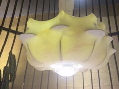 -塔哈尔·新疆盛宴(南翔印象城MEGA店)