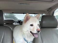 -博特宠物医院24h犬猫全科.骨科·异宠