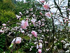-常德桃花源景区