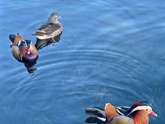 -北山街历史文化街区