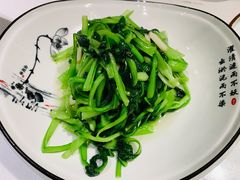 鸡毛菜-江南苑精菜坊
