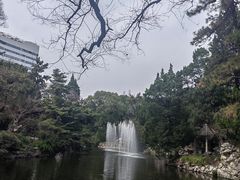 -新江湾城公园