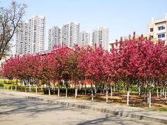 -辽宁大学(崇山校区)