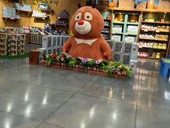 -厦门方特梦幻王国